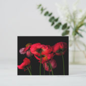 Flowers | Red Poppies Briefkaart (Staand voorkant)