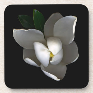 Flowers Single White Magnolia Blossom Bier Onderzetter