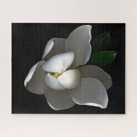 Flowers Single White Magnolia Blossom Legpuzzel (Horizontaal)