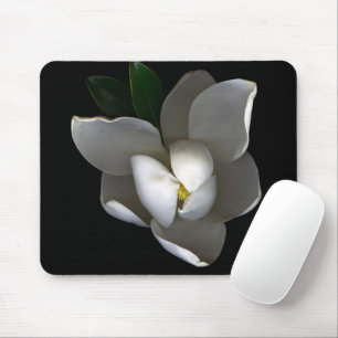 Flowers Single White Magnolia Blossom Muismat
