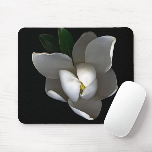 Flowers Single White Magnolia Blossom Muismat (Met muis)