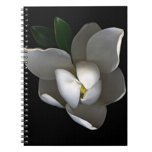 Flowers Single White Magnolia Blossom Notitieboek (Voorkant)