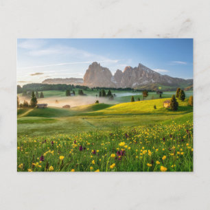 Flowers   Spring Alpe di Siusi Langkofel Briefkaart