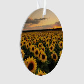 Flowers | Sunflower Field (devant)