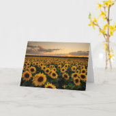 Flowers | Sunflower Field Kaart (Gele Bloem)