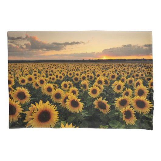 Flowers | Sunflower Field Kussensloop (Voorkant)