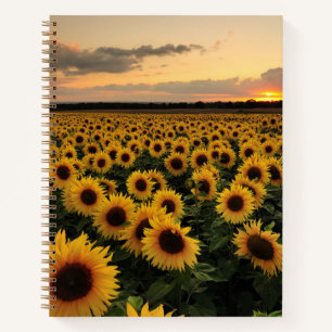 Flowers   Sunflower Field Notitieboek