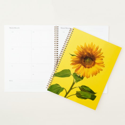 Flowers | Sunflower on Yellow (Devant avec enveloppe)