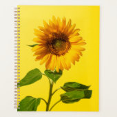 Flowers | Sunflower on Yellow (Devant)