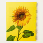 Flowers | Sunflower on Yellow (Dos)