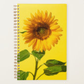 Flowers | Sunflower on Yellow (Devant)