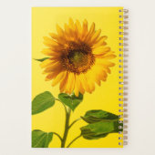 Flowers | Sunflower on Yellow (Dos)