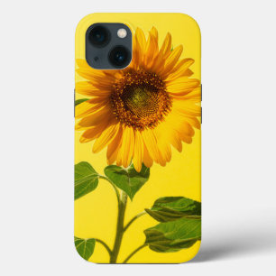 Flowers Sunflower on Yellow iPhone 13 Hoesje