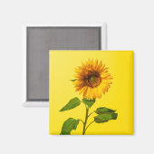 Flowers Sunflower on Yellow Magneet (Voorkant / Achterkant)
