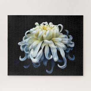 Flowers White Chrysanthemum Legpuzzel