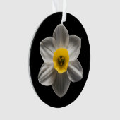 Flowers | White Daffodil Flower (devant)