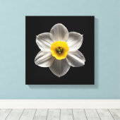Flowers | White Daffodil Flower Canvas Afdruk (Insitu (Houten vloer))