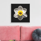 Flowers | White Daffodil Flower Canvas Afdruk (Insitu (Woonkamer))