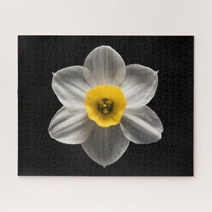 Flowers   White Daffodil Flower Legpuzzel