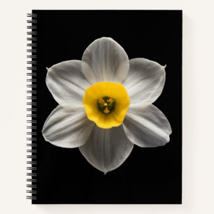 Flowers White Daffodil Flower Notitieboek