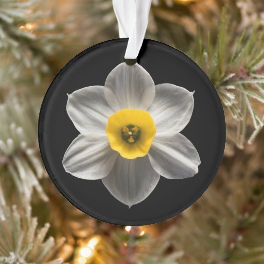Flowers | White Daffodil Flower Ornament (Boom)