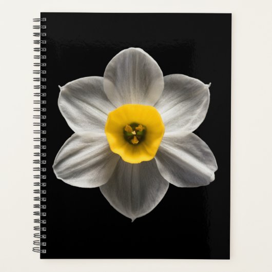 Flowers | White Daffodil Flower Planner (Voorkant)
