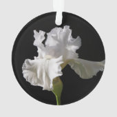 Flowers | White Iris (dos)