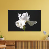 Flowers | White Iris Canvas Afdruk (Insitu (Woonkamer))