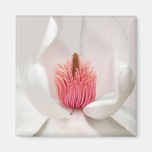 Flowers | White Magnolia Magneet (Voorkant)
