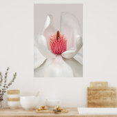 Flowers | White Magnolia Poster (Keuken)