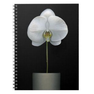 Flowers White Orchid Flower Notitieboek