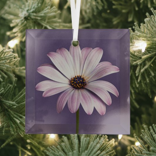 Flowers White & Purple Daisy Glas Ornament (Insitu)