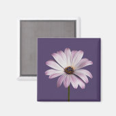 Flowers White & Purple Daisy Magneet (Voorkant / Achterkant)