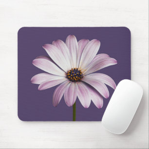 Flowers White & Purple Daisy Muismat