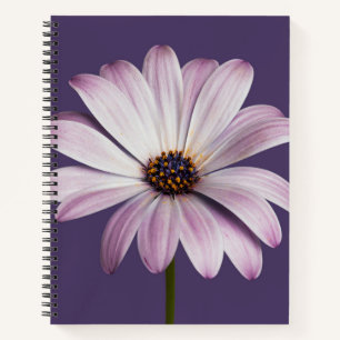 Flowers White & Purple Daisy Notitieboek
