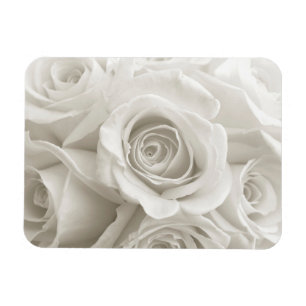 Flowers White Roses Magneet