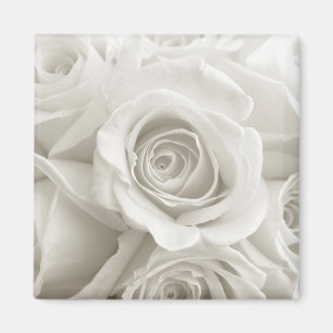 Flowers White Roses Magneet