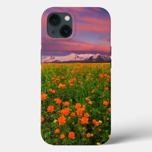 Flowers Wildflower Field Snowcapped Mountains Case-Mate iPhone Case (Achterkant)