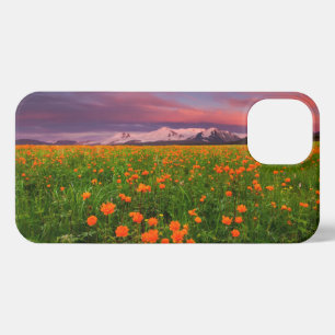 Flowers Wildflower Field Snowcapped Mountains iPhone 13 Hoesje