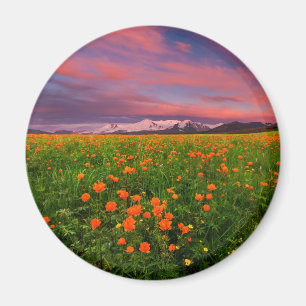 Flowers Wildflower Field Snowcapped Mountains Magneet