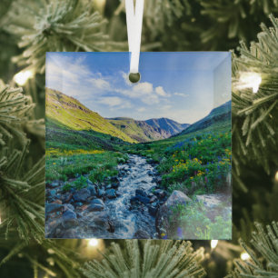 Flowers Wildflowers in Colorado Glas Ornament