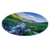 Flowers Wildflowers in Colorado Snijplank (Hoek)