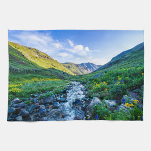 Flowers Wildflowers in Colorado Theedoek