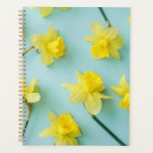 Flowers | Yellow Daffodils (Devant)