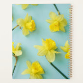 Flowers | Yellow Daffodils (Dos)