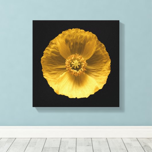 Flowers | Yellow Poppy Canvas Afdruk (Insitu (Houten vloer))