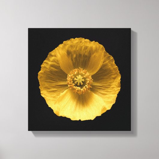 Flowers | Yellow Poppy Canvas Afdruk (Voorkant)