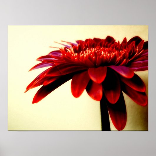 FLOWERSERIES-007 POSTER (Voorkant)