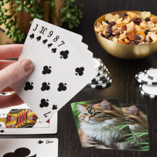 Fluff en knuffels: de mollige Perzische kat Pokerkaarten