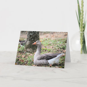 Fluff Feestdagen Kaart